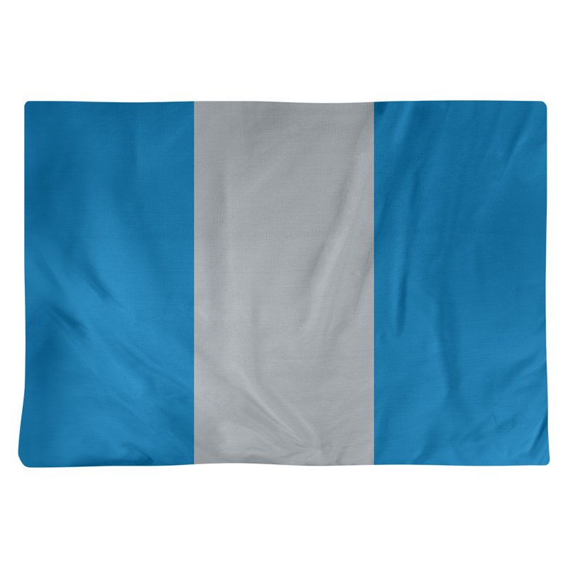Récapitulatif 18" à rayures de football Detroit, Bleu / Argent