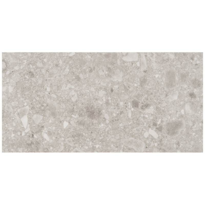 Carrelage en vinyle de luxe Stonehenge Rizzo LVT 12MIL l 12 po x L 24 po Terrazzo, gris