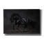 «Onyx» par PhotoINC Studio-1396100821