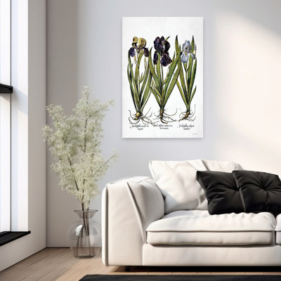 Iris Botanical I Contemporary Flower Art