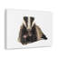 «Laying Down Badger Print», art mural-1655338414