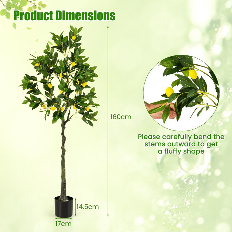 Angellyna 160cm Plant