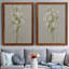 «White Field Flowers I», ensemble de 2 peintures sur toile encadrées-1126046350-1126046351