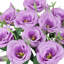 Lisianthus artificiel-1488710569