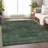 Premium Machine Washable Prisco Fern Rug-30690378