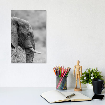 The Silent Elephant by Anders Jorulf - Wrapped Canvas Print