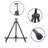 Blue Elephant Folding Adjustable Metal Tripod Easel