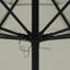 Parasol de marché 9 pi Moneer-1752469405
