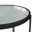 Arshaluys Glass Top End Table