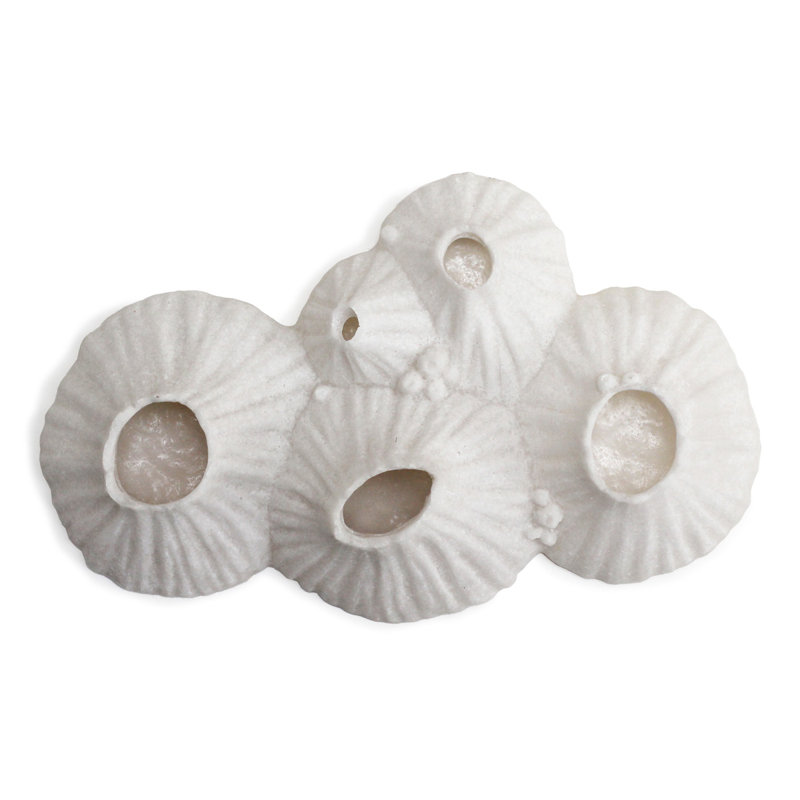 Art mural Paleo Barnacle, H 11,3 po x l 7,2 po x P 2,5 po