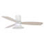Haracha 132cm Ceiling Fan with Light Kit-180935244-180935245