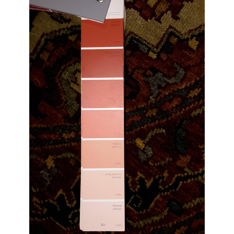 Kennetra Oriental Area Rug in Orange