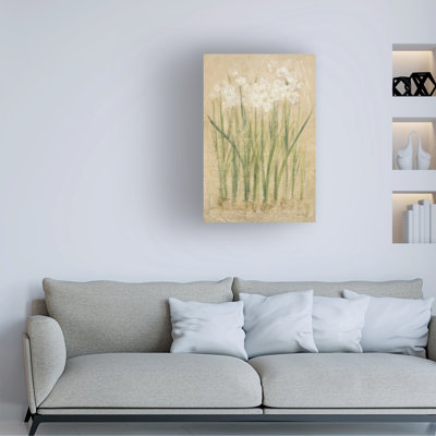 Bolog Cheri Blum Narcissus Canvas Art