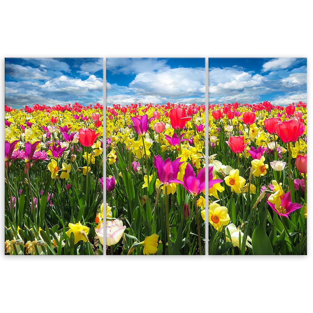 Leinwandbild Bunte Blumen Wiese