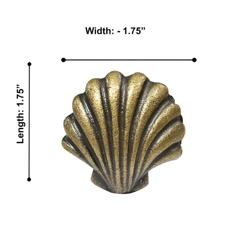 1.75" Width Beach Shell Knob