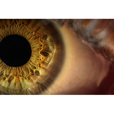" Close-Up Of Human Eye " by Herseyden Biraz..
