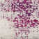 Oriental Area Rug