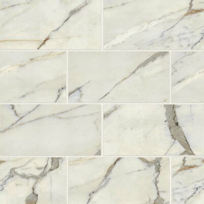 Classic 2.0 12"" x 24"" Porcelain Field Tile -  Bedrosians, STPCL2CAO1224P