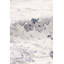 Tapis oriental ivoire / gris Amadeus-51020830