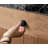 Sturdy Round Knob-112275702-112650736