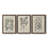 " Antique Black And White Botanical VII " 3 - Pieces-408395204-408395203