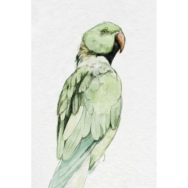 Bright Parrot Portrait II by Emma Caroline - Painting, 76 cm H x 51 cm W, Wrapped Canvas