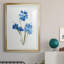 Blue Blossom Botanical I - Cadre photo, reproduction d'art sur papier-433768034-433768033