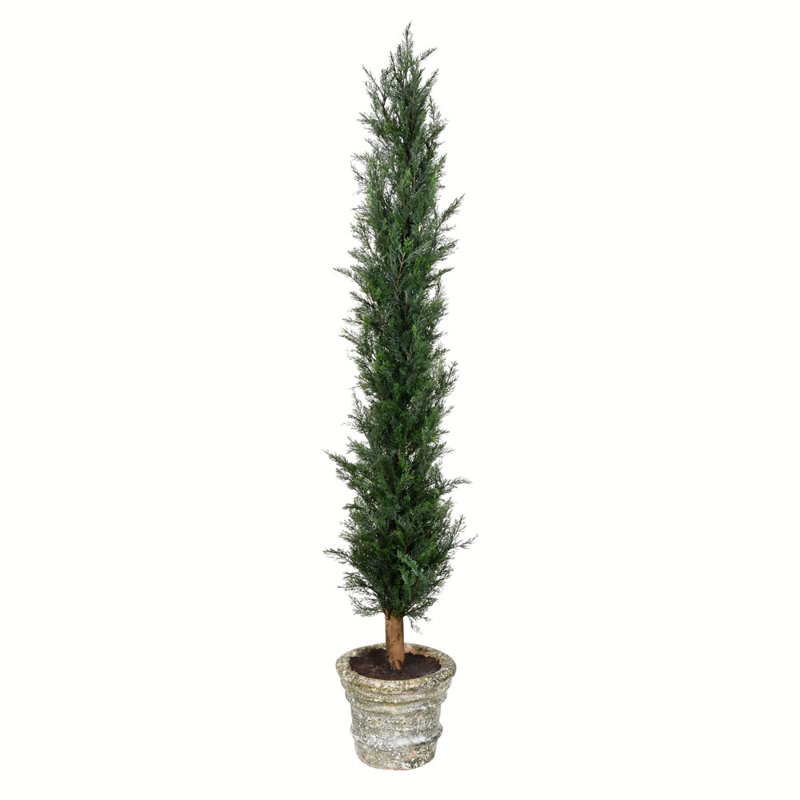 Cèdre artificiel en pot, H 60 po x l 22 po x P 22 po