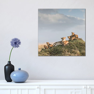 Colour Lioness & Cubs by Klaus Tiedge - Print on Canvas
