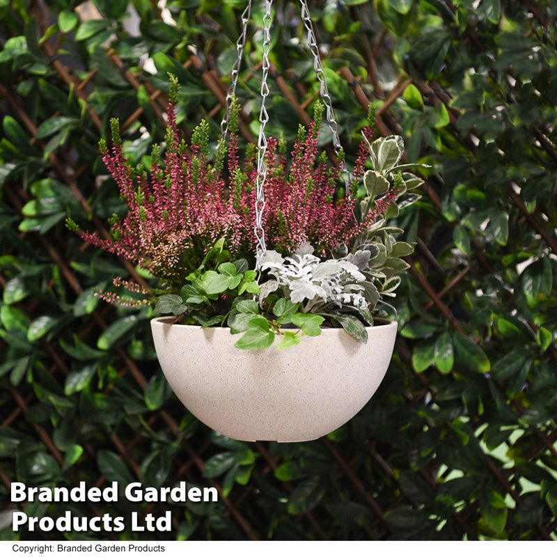 Pattmon Hanging Planter