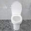 Kichae Elongated One-Piece Modern Toilet, 1.28 GPF Powerfule Flush Floor Mounted Toilet (Seat Included)