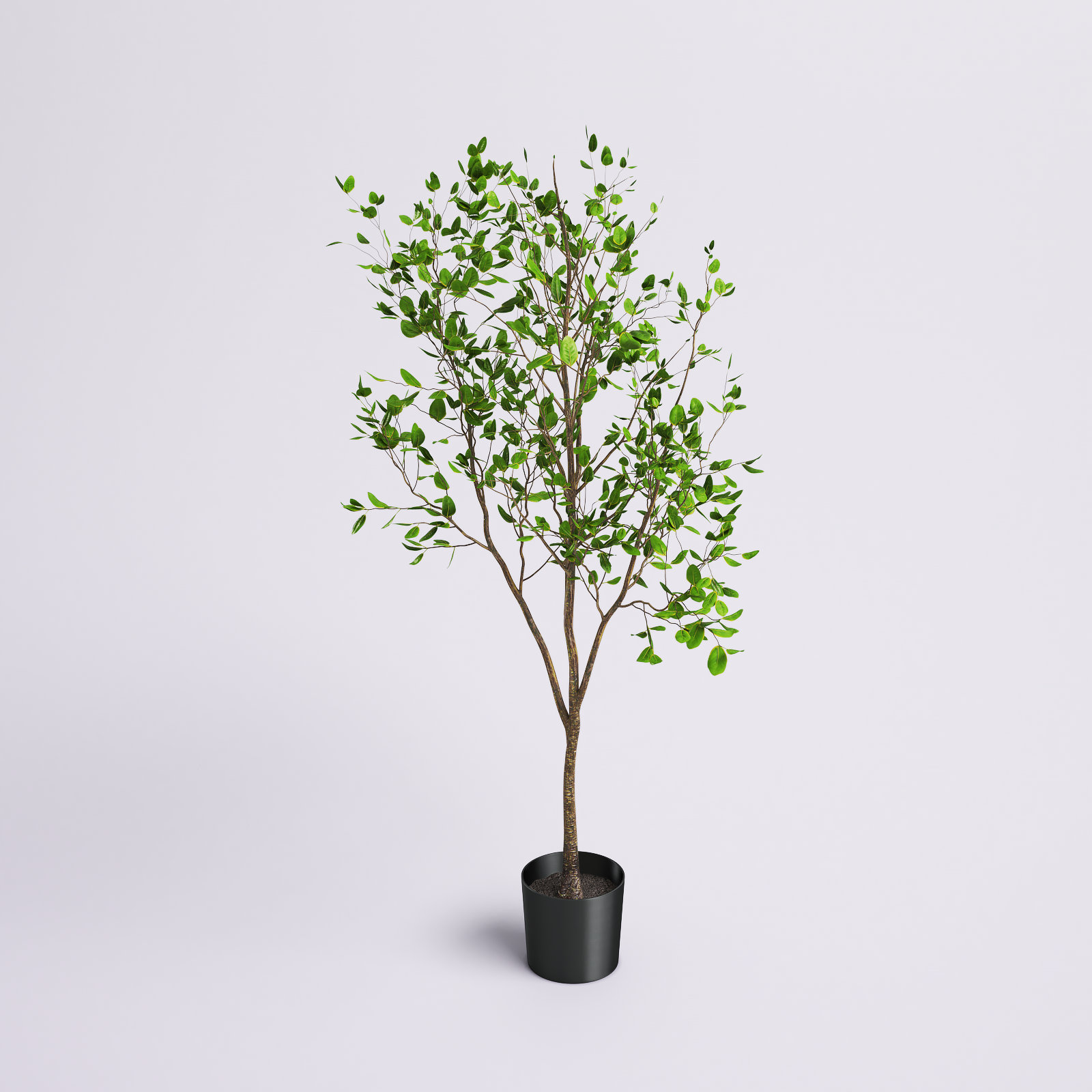 Beachcrest Home Artificial Potted Milan Leaf Tree in Black Planters Pot