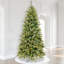 Arbre de Noël pin vert-1994330814-1983619731