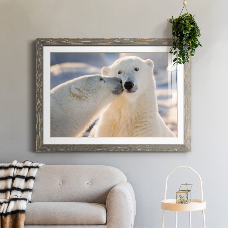 Baiser d'ours polaire - photographie avec cadre photo, H 37,5 po x l 27,5 po x P 1,5 po, Papier avec cadre gris