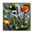 White/Green/Orange