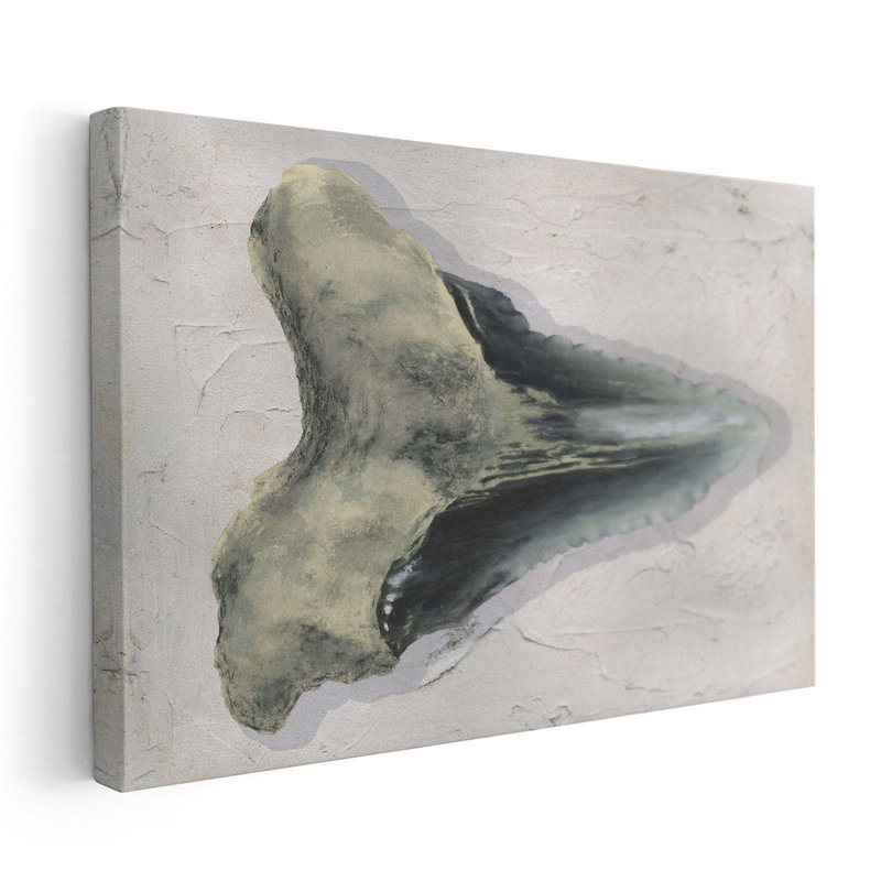 Watercolor Sharks Tooth III - Canvas Print Wall Art, 12" H x 18" W