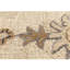 Tapis d'intérieur en laine Tiki-129907739-129907744