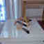 Photos des clients 1 de 2