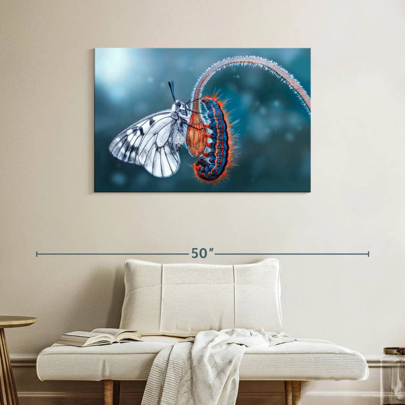 Brampt Butterfly Destiny, 26" H x 39" W