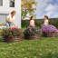 Ensemble de 2 pots de fleurs surélevés ronds en acier galvanisé 2 x 2 x 1 pi résistant à la rouille pour jardin-1344428275