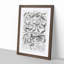 Ornithology Study of Birds LXXIL by Oliver Goldsmith - Picture Frame Drawing Print-55733888-55733889