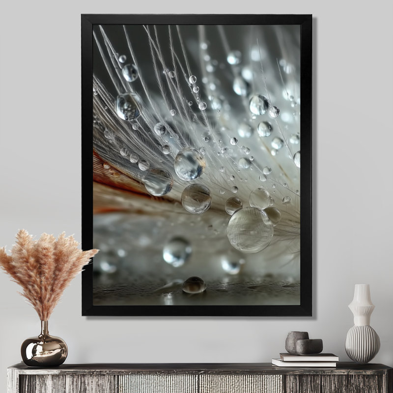 Winter Feather Water Droplets - Abstract Collages, art mural blanc contemporain, Reproduction encadrée, Noir
