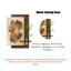 Peinture et lampe de plante hydroponique simple et abstraite-2027029393