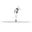 Hayse Fixed Shower Head