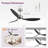 Loritta 3-Blade Ceiling Fan with Light-1597459147-1597384105