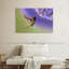 Nectar Brampt sirotant un colibri-107719406