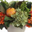 Pomegranate and Hydrangea Arrangement