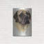 "Mastiff" par Barbara Keith-2040042926