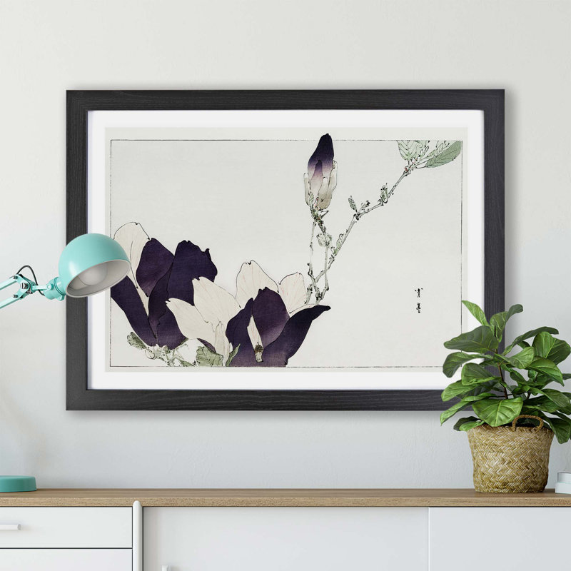 Magnolia by Watanabe Seitei - Single Picture Frame Painting, Black, 62cm H x 87cm W x 2cm D