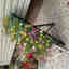 Photos des clients 1 de 1